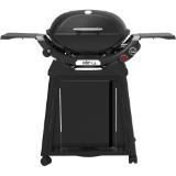 Weber Gasgriller Q2800N, Preisangabe ohne MwSt. (Preis inkl. MwSt. 514,80 €), METRO 1 Stück