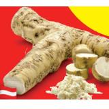 Kren aus der Steiermark Lidl APP Preis 1 Kilogramm