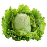 Romanischer Salat MPREIS 1 Stück