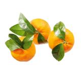 Clementinen mit Blatt Lidl 1 Kilogramm