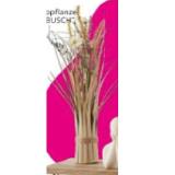 Promotion Bild von Dekopflanze „Grasbusch“ 4297281201 mömax 1 Stück
