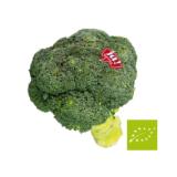 Ja! Natürlich Bio Brokkoli Sutterlüty 1 Stück