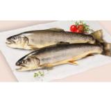 Fischzucht Payr Bachsaibling INTERSPAR 100 Gramm