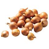 Bio Zwiebeln gelb aus Österreich Lidl APP Preis 1 Kilogramm 1 Packung