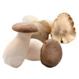 Promotion Bild von Kräuterseitlinge Penny  150 Gramm 1 Packung