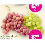 Bio-Trauben kernlos blaue oder rote Denns BioMarkt 1 Kilogramm