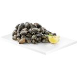 Promotion Bild von Teppichmuscheln, Preisangabe ohne MwSt. (Preis inkl. MwSt. 24,19 €), METRO 1 Kilogramm