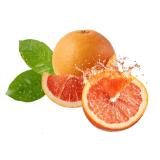Grapefruit Lidl 1 Stück