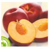 HOFER Marktplatz Nektarinen HOFER 500 Gramm 1 Packung