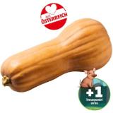 Promotion Bild von Ich bin Österreich Butternuss-Kürbis Penny 1 Kilogramm