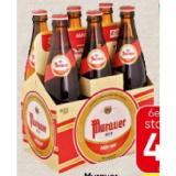 Bild von Murauer Märzen SPAR 0.50 Liter 6 Stück