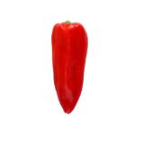 BIO Spitzpaprika rot MPREIS 1 Stück