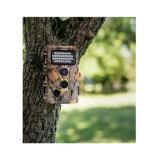 ROLLEI Wildkamera HOFER 1 Stück