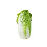 Chinakohl Sutterlüty 1 Kilogramm