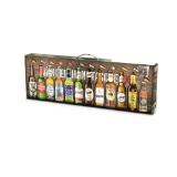 BEER TASTING BOX verschiedene Bierspezialitäten HOFER 0.33 Liter 12 Stück