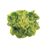Promotion Bild von zarter, frischer Kopfsalat aus Oberösterreich EUROSPAR 1 Stück