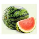 Bild von HOFER Marktplatz Mini-Wassermelonen HOFER 1 Kilogramm