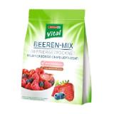 SPAR Vital Himbeeren, Erdbeeren oder Beeren Mix SPAR Gourmet 30 Gramm 1 Packung