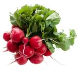 Radieschen MPREIS 1 Bund