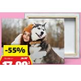 Foto-Leinwand 75 x 50 cm HOFER 1 Stück