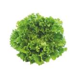 Spar Natur pur Frischer Bio-Gentilina INTERSPAR 1 Stück