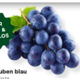 Premium Trauben blau MPREIS 1 Kilogramm
