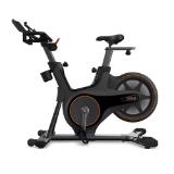 Matrix FITNESS INDOOR CYCLE ICR50 HOFER 1 Stück