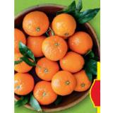 HOFER Marktplatz Baumgereifte Mandarinen HOFER 1 Kilogramm