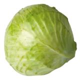 Da komm' ich her! Weißkraut BILLA PLUS 1 Kilogramm