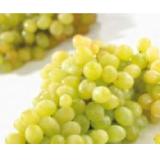 Trauben Sultanas SPAR 1 Kilogramm