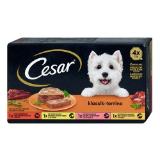 Cesar Hundenassfutter div. Sorten dm 4 Stück 1 Packung