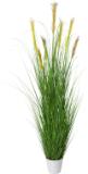 Promotion Bild von modern living Kunstpflanze „GRASBUSCH“ 42974447 mömax 1 Stück