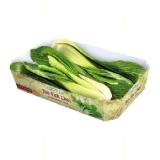 Spar Natur pur herzhafter Bio-Pak Choi SPAR Gourmet 350 Gramm 1 Packung
