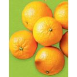 HOFER Marktplatz Bio-Clementinen HOFER 750 Gramm 1 Netz