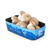 BIO vom BERG Kräuterseitlinge MPREIS 150 Gramm 1 Packung