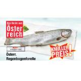 SPAR PREMIUM Österr. Regenbogenforelle Maximarkt 100 Gramm