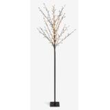 Lichterbaum für den Außenbereich SANDROSE 6134901 JYSK 1 Stück