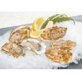 Felsenauster Sutterlüty 1 Stück