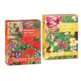 Saatgutmischung Wild- oder Sommerblumen Lidl 1 Packung