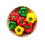 Promotion Bild von Paprika Mix aus Österreich Lidl 500 Gramm