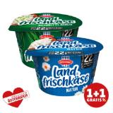 Schärdinger Landfrischkäse Natur od. Schnittlauch Penny 200 Gramm 1 Becher