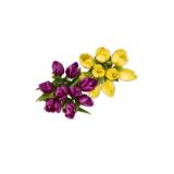 Tulpenstrauß einfärbig Lidl 9 Stück