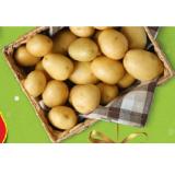 HOFER Marktplatz Kartoffeln aus Österreich HOFER 5 Kilogramm 1 Netz