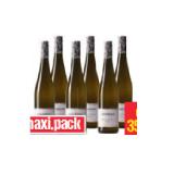 WEINGUT KOLKMANN Grüner Veltliner Classic Wagram DAC Maximarkt 0.75 Liter 1 Flasche
