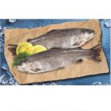 Promotion Bild von Holzinger Frische Forelle im Doppelpack Lidl 591 Gramm