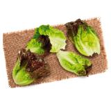 Promotion Bild von Salatherzen bicolor aus Österreich Lidl 2 Stück