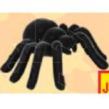 Schlaraffenland Dekospinne Spider Maximarkt 1 Stück