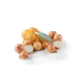 Spar Natur pur würziger Bio-Zwiebeln gelb SPAR Gourmet 750 Gramm 1 Netz