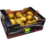 Birnen Xenia, Preisangabe ohne MwSt. (Preis inkl. MwSt. 1,64 €), METRO 1 Kilogramm