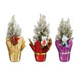 Ellwoodii mit Schnee versch. Dekorationen Lidl 1 Stück